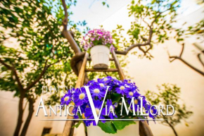 Dimora Antica Via MiLord Monopoli